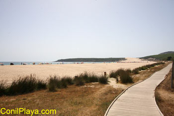 Playa de Bolonia. Al fondo la duna.