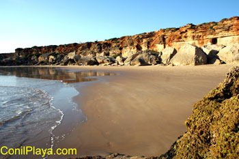 La area de la cala es excelente.