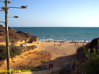 Cala puntalejo