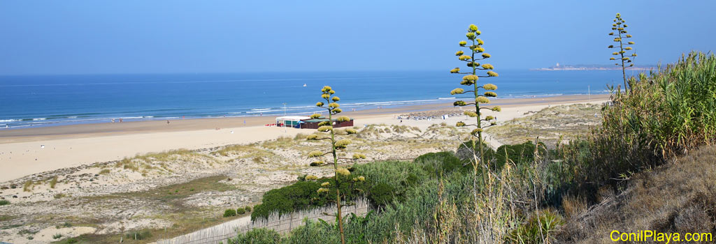 Playa de El Chorrillo.