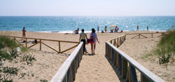 Pasarela de acceso a la playa de El Palmar de Vejer. A la altura de Torre Nueva.