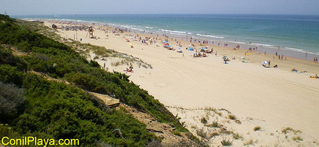 Playa de La Barrosa, en Chiclana.