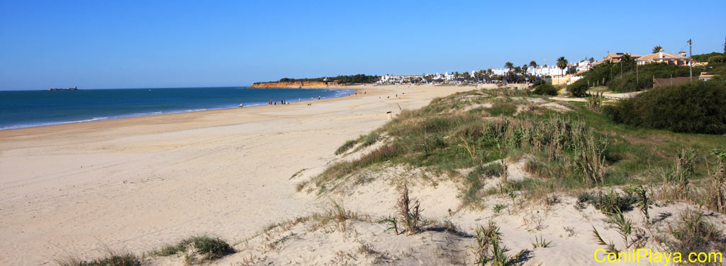 Playa de la Barrosa fotografiada desde las dunas