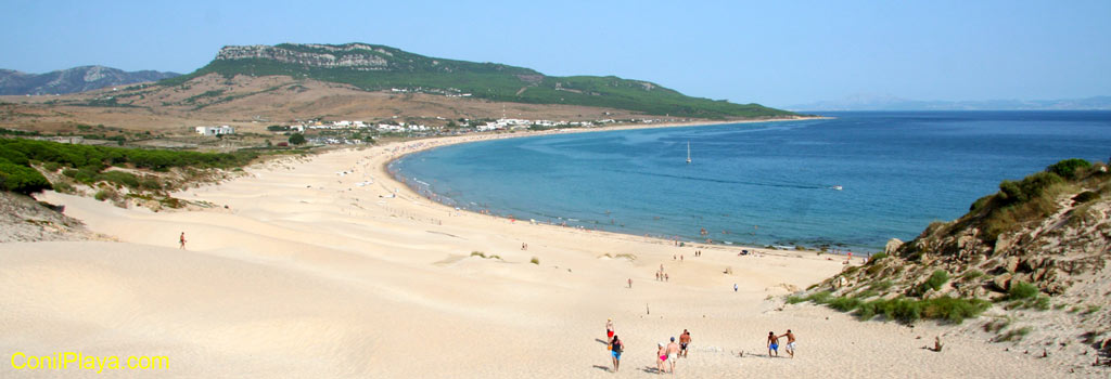 Playa de Bolonia vista desde la duna