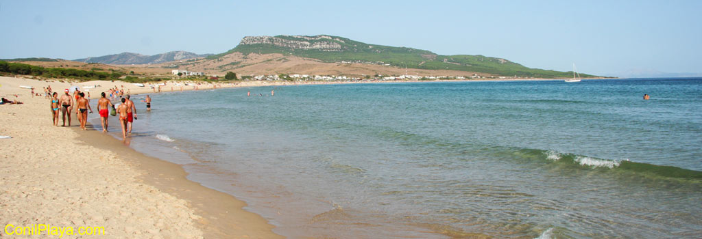 Playa de Bolonia. gente paseando por la orilla..