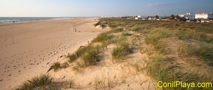 Playa del Palmar