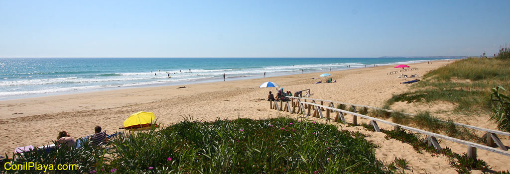 Playa de El Palmar