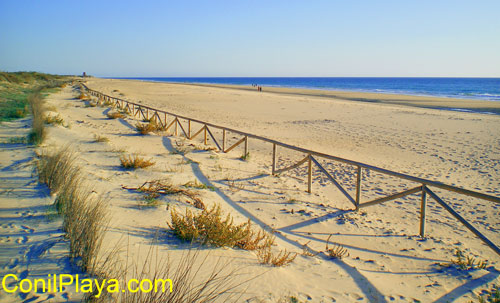 Zona sur de la playa de El Palmar.