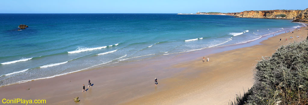 Playa la Fuente del Gallo, Conil de la Frontera