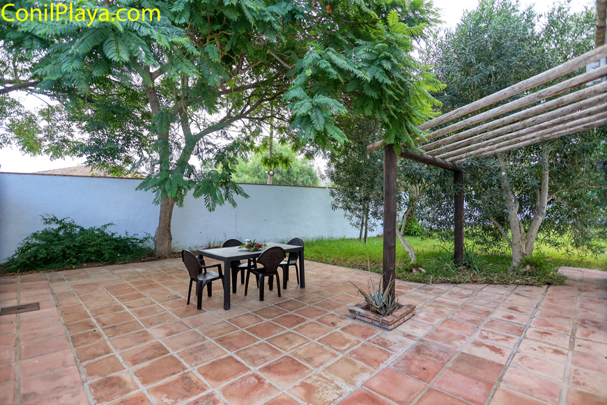 patio trasero arbol