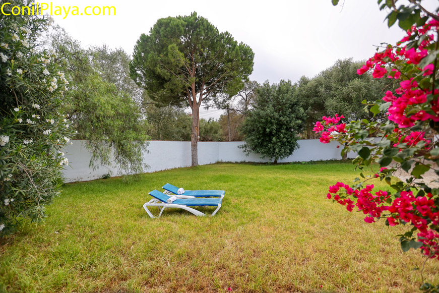 tumbonas jardin