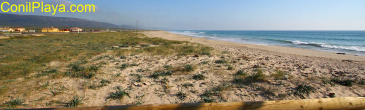 Playa de Barbate