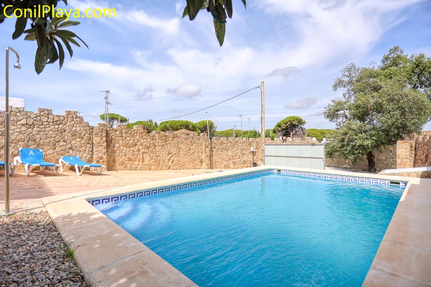 piscina con tumbonas y sombrillas