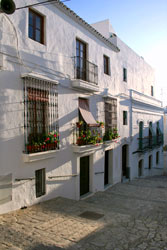 Casas en la calle Marqués de Tamarón / Divino Pastor, Vejer.