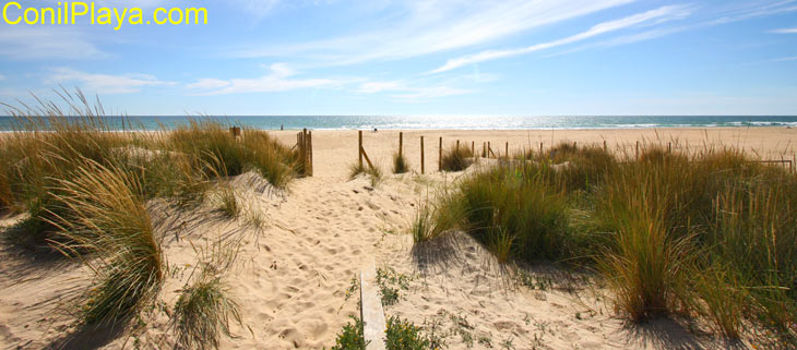 Dunas del Palmar