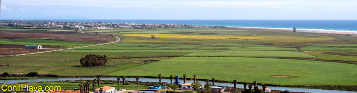 Vista del Palmar de Vejer y del prado de Conil de la Frontera. 11 de Abril de 2009.