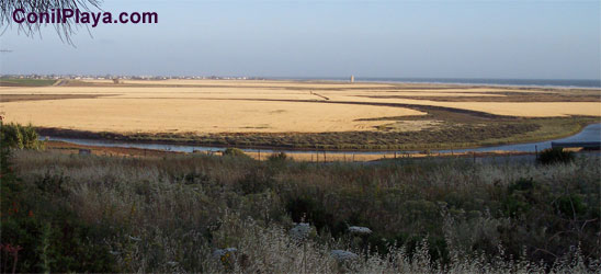 El Palmar de Vejer