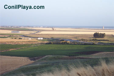 El prado de El Palmar visto desde Conil.