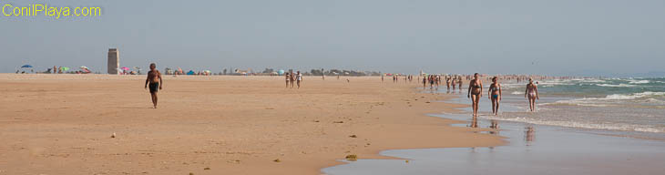 Playa de Castilnovo Conil