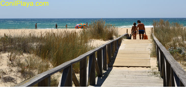 Playa El Palmar