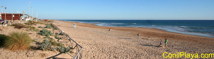 Playa de El Palmar