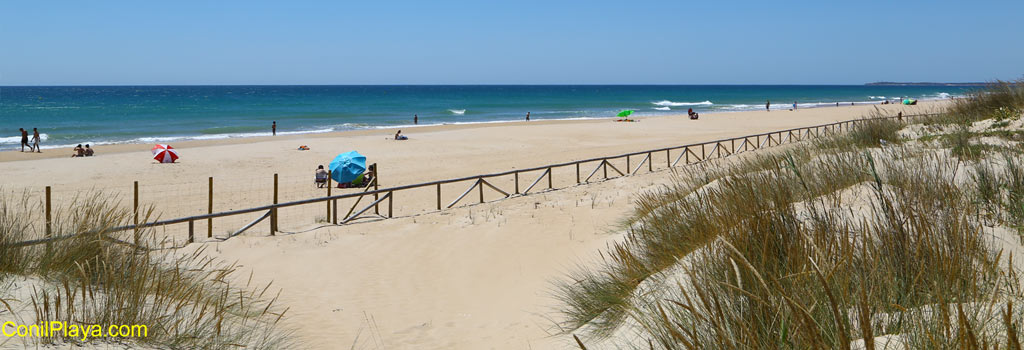 Playa de El Palmar