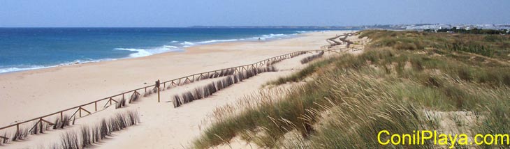 Playa de El Palmar