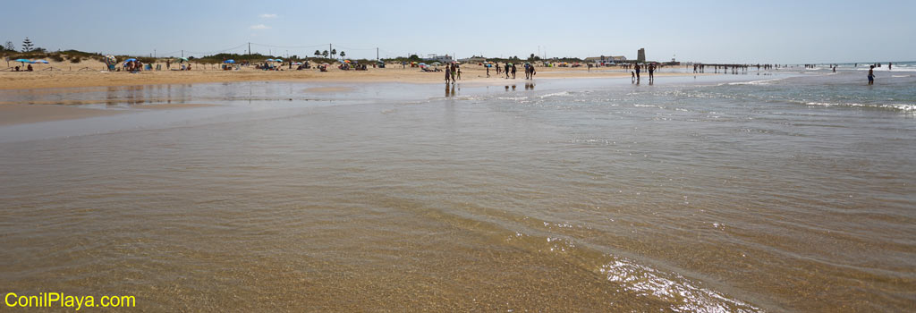 Playa de El Palmar