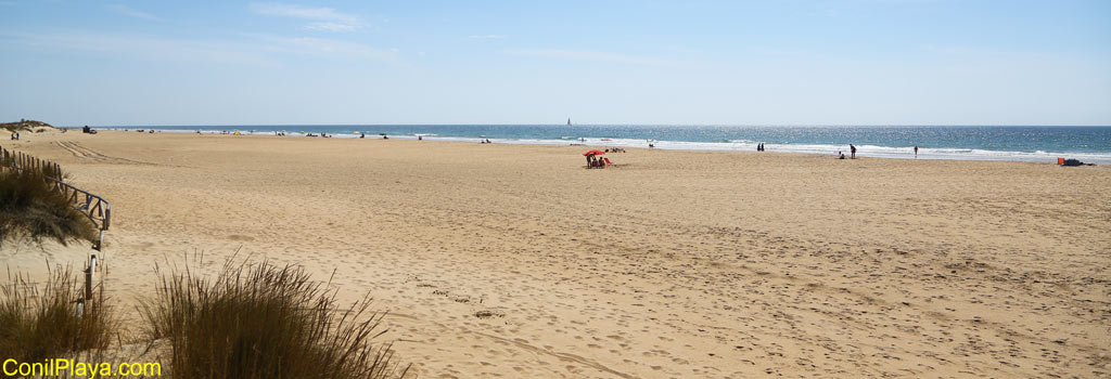 Playa de El Palmar