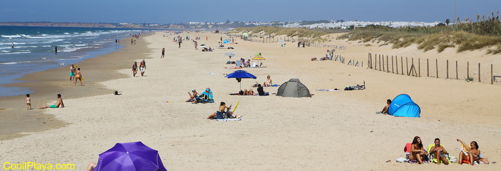 Playa de El Palmar