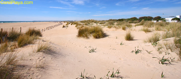 Playa de El Palmar