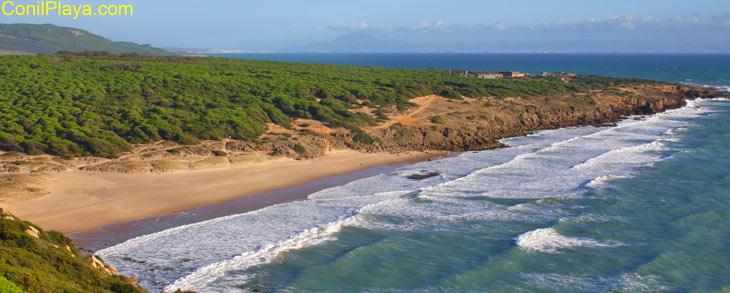 Playa del Cañuelo