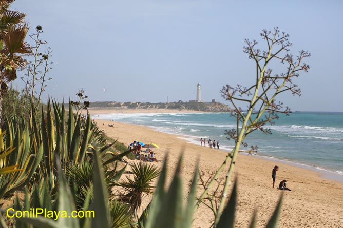 playa faro trafalgar