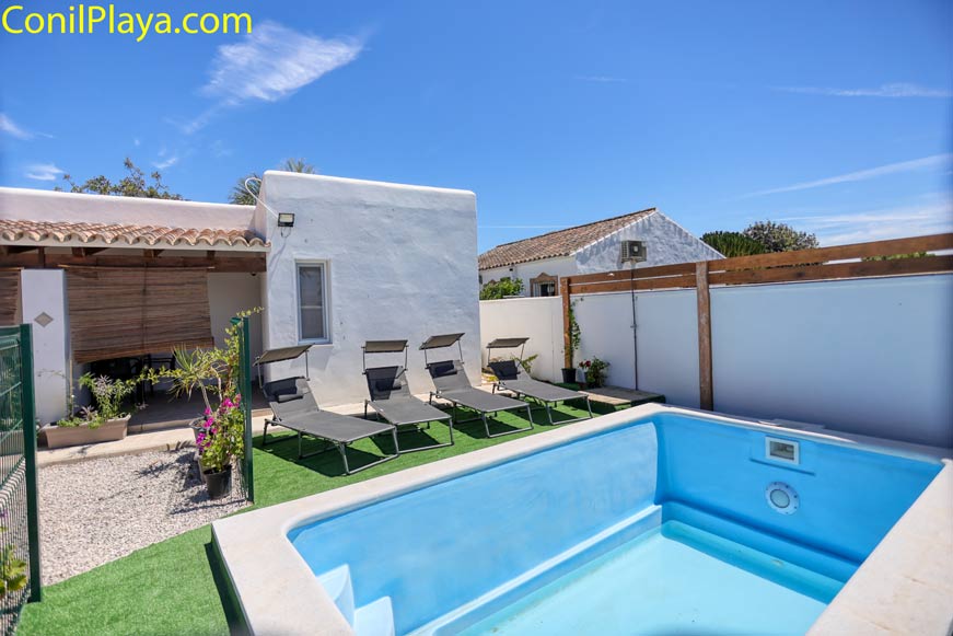 Piscina pequeña junto a varias tumbonas y paredes blancas, rodeadas de césped artificial y plantas en macetas.