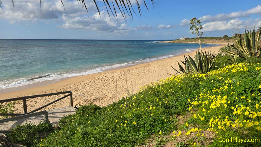 playa zahora