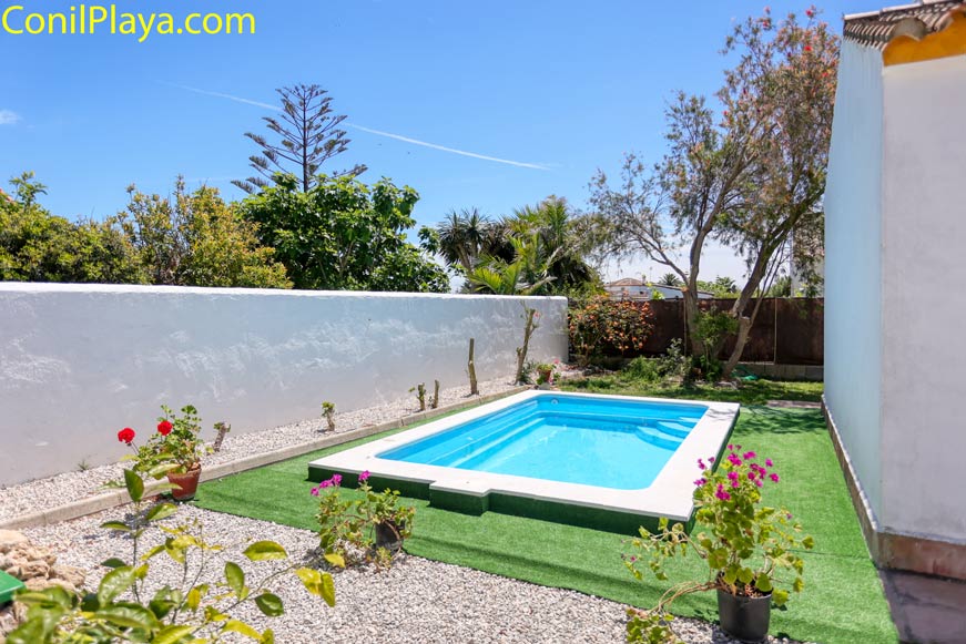 Piscina rectangular pequeña rodeada de césped artificial, plantas y árboles junto a una pared blanca.