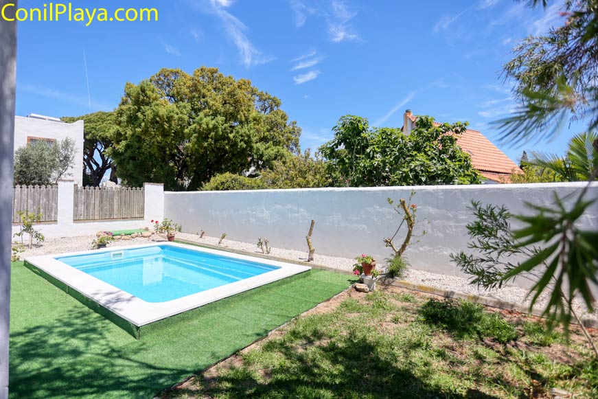 Piscina pequeña en jardín vallado, rodeada de césped artificial, árboles, plantas y cielo despejado