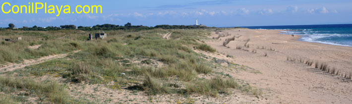 Playa de la Mangueta, al fondo el faro de Trafalgar.