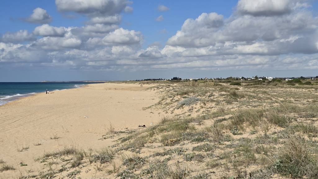 Vista del El Palmar desde la playa de la Mangueta.