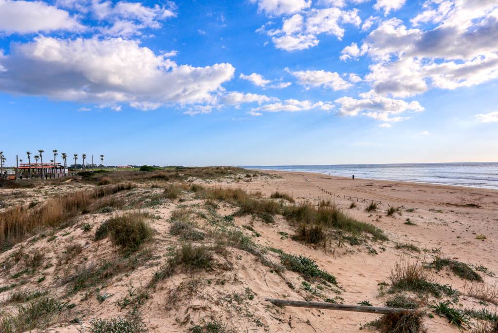 Playa de la Mangueta, en el horizonte a lo lejos se ve la Torre de El Palmar.