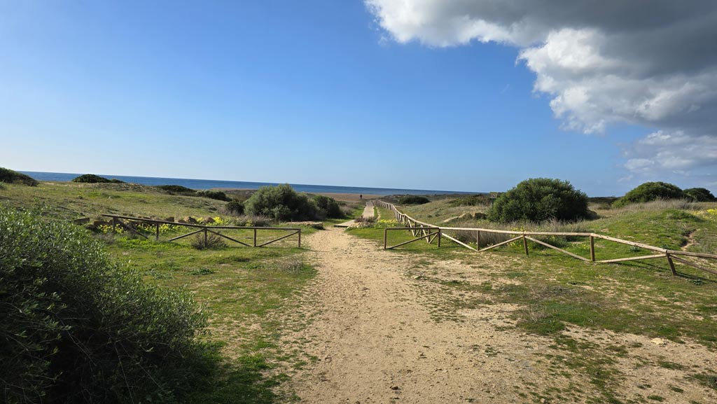 aparcamiento en la playa de la mangueta.
