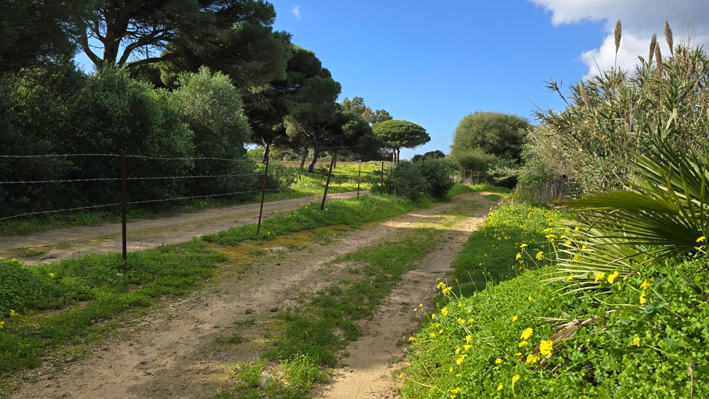 ruta hacia la playa de la mangueta.